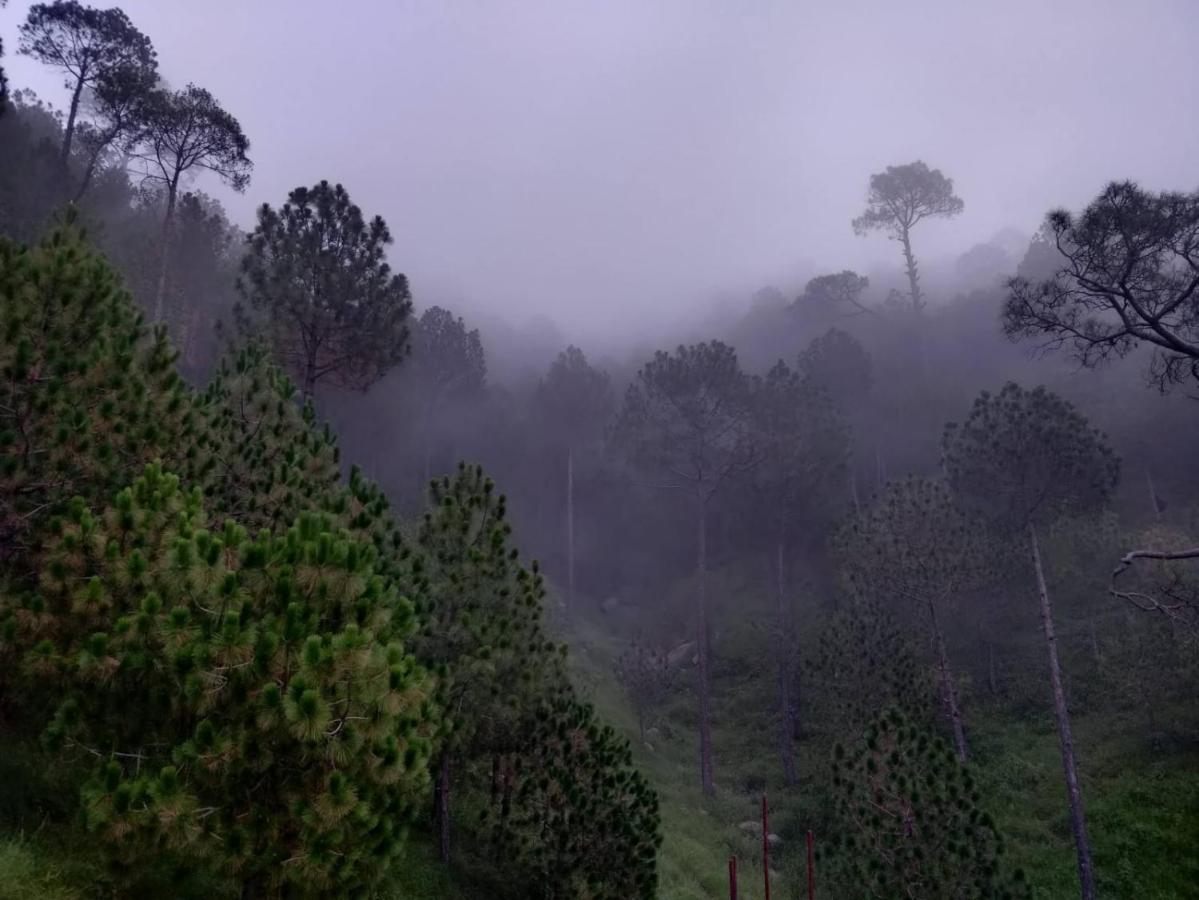 Hotel Le Halcyon , Kasauli Solan Ngoại thất bức ảnh