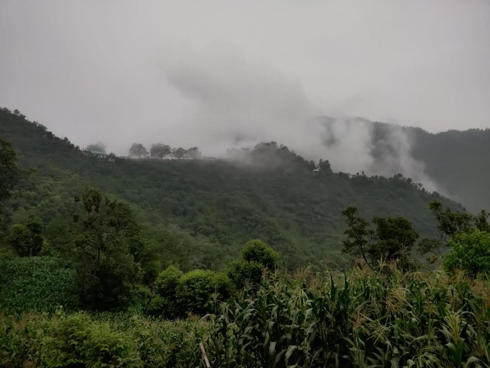 Hotel Le Halcyon , Kasauli Solan Ngoại thất bức ảnh